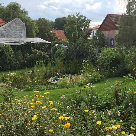 Schöne gemütliche Ferienwohnung mit Kamin im Harz II Darlingerode Exterior foto