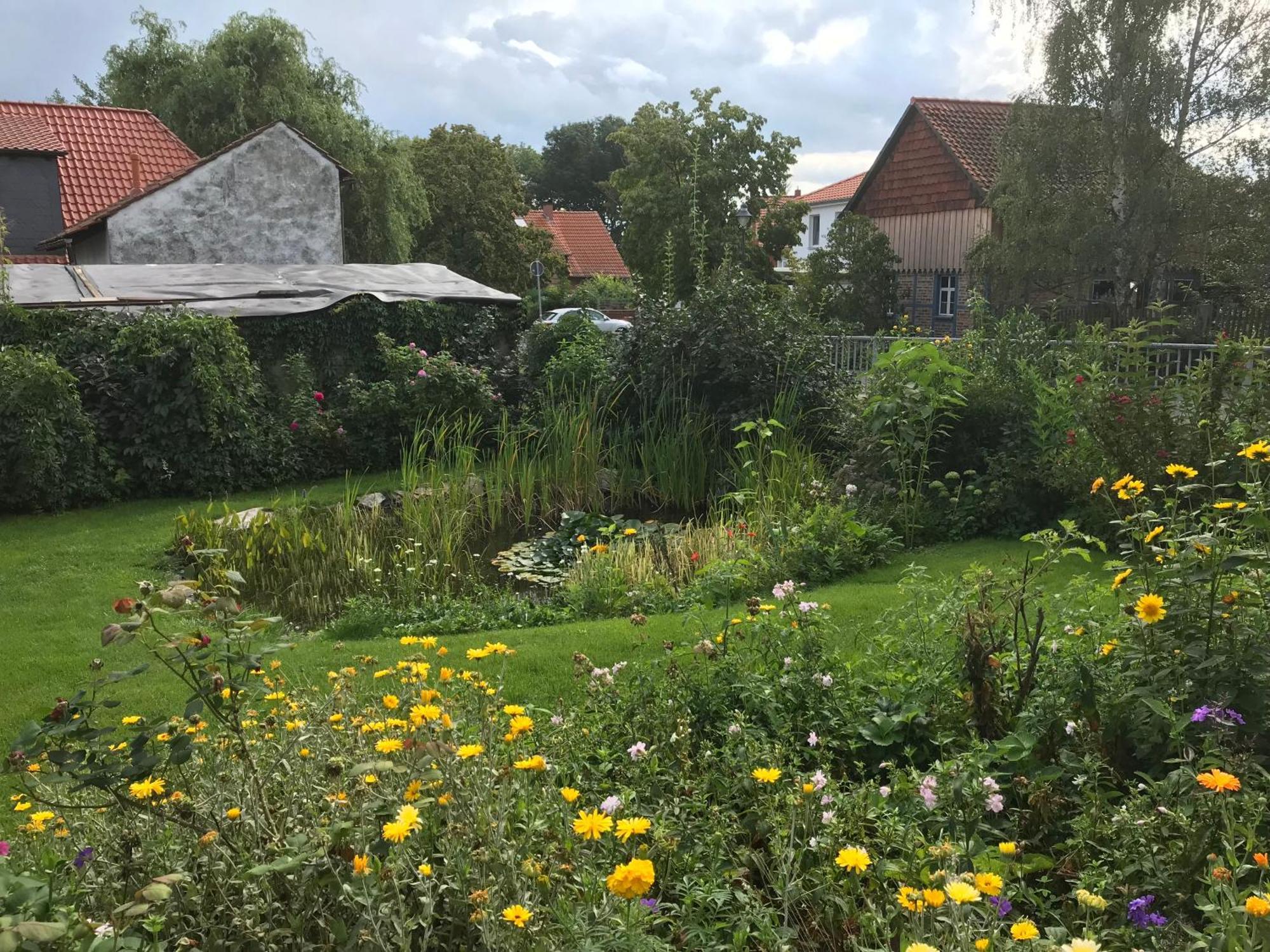 Schöne gemütliche Ferienwohnung mit Kamin im Harz II Darlingerode Exterior foto